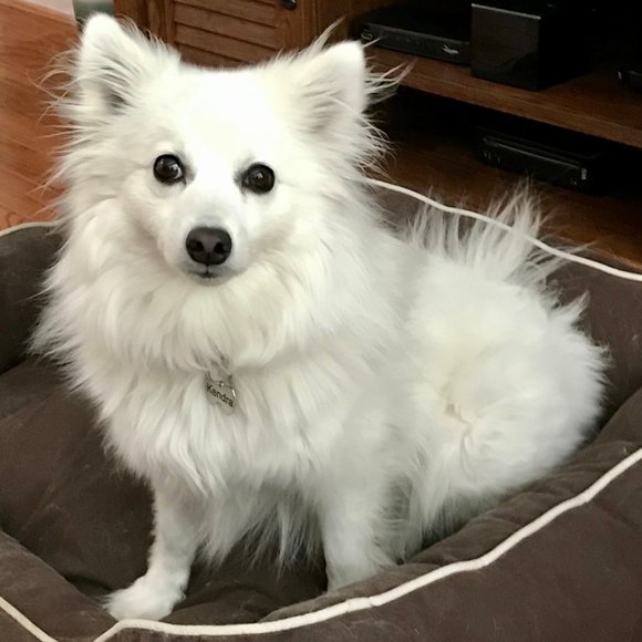 Meet your Posher, Tanja - Picture 1 of 2